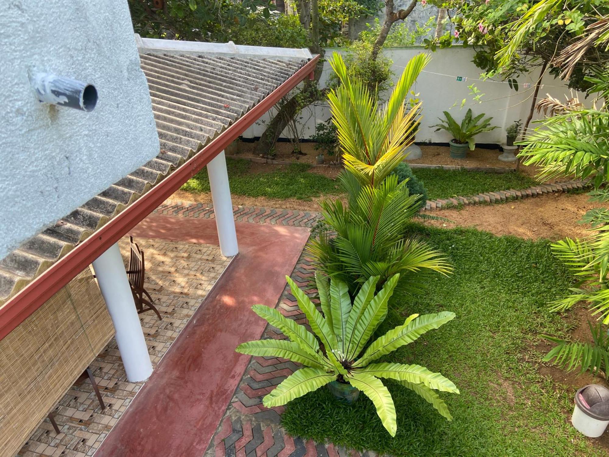 Mirissa Gold Rush Villa Luaran gambar
